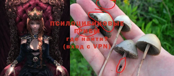 спиды Гусев