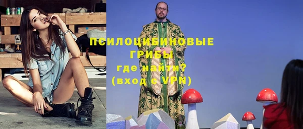 бошки Гусь-Хрустальный